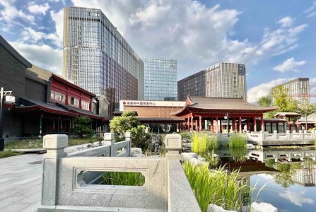 Москва, ул Вильгельма Пика, 16. Фото № 4