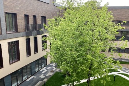 Москва, ш Дмитровское, 81. Фото № 2