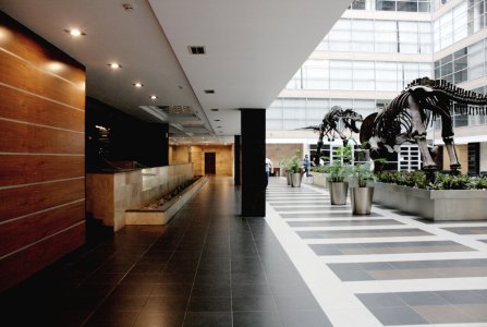 Москва, ул Горбунова, 2 стр 3. Фото № 3