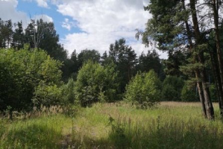 Московская, Горьковское Шоссе, 30 км от МКАД, 4. Фото № 2