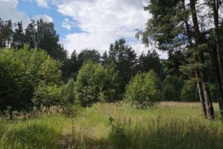 Московская, Горьковское Шоссе, 30 км от МКАД, 4. Фото № 1