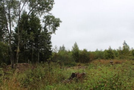 деревня Вражеское, Рузский городской округ, Московская область, ул Центральная, 6. Фото № 1