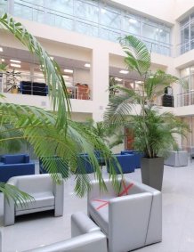 Зеленые зоны для отдыха